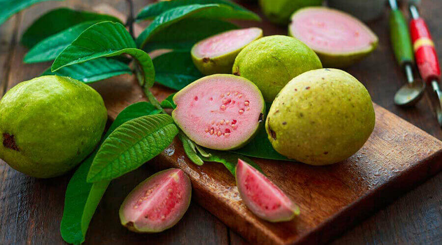 Guava is a super weapon for health