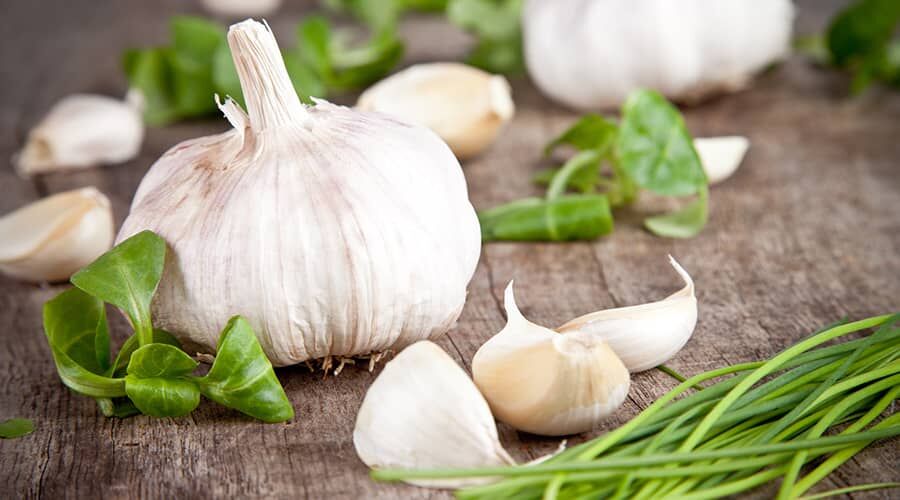 Benefits of garlic